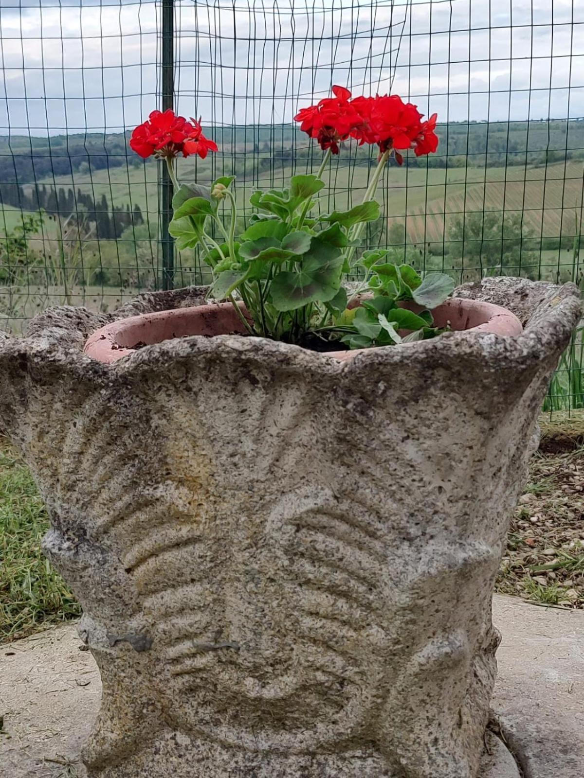 Apartament Il Giardino Del Chianti Siena Zewnętrze zdjęcie