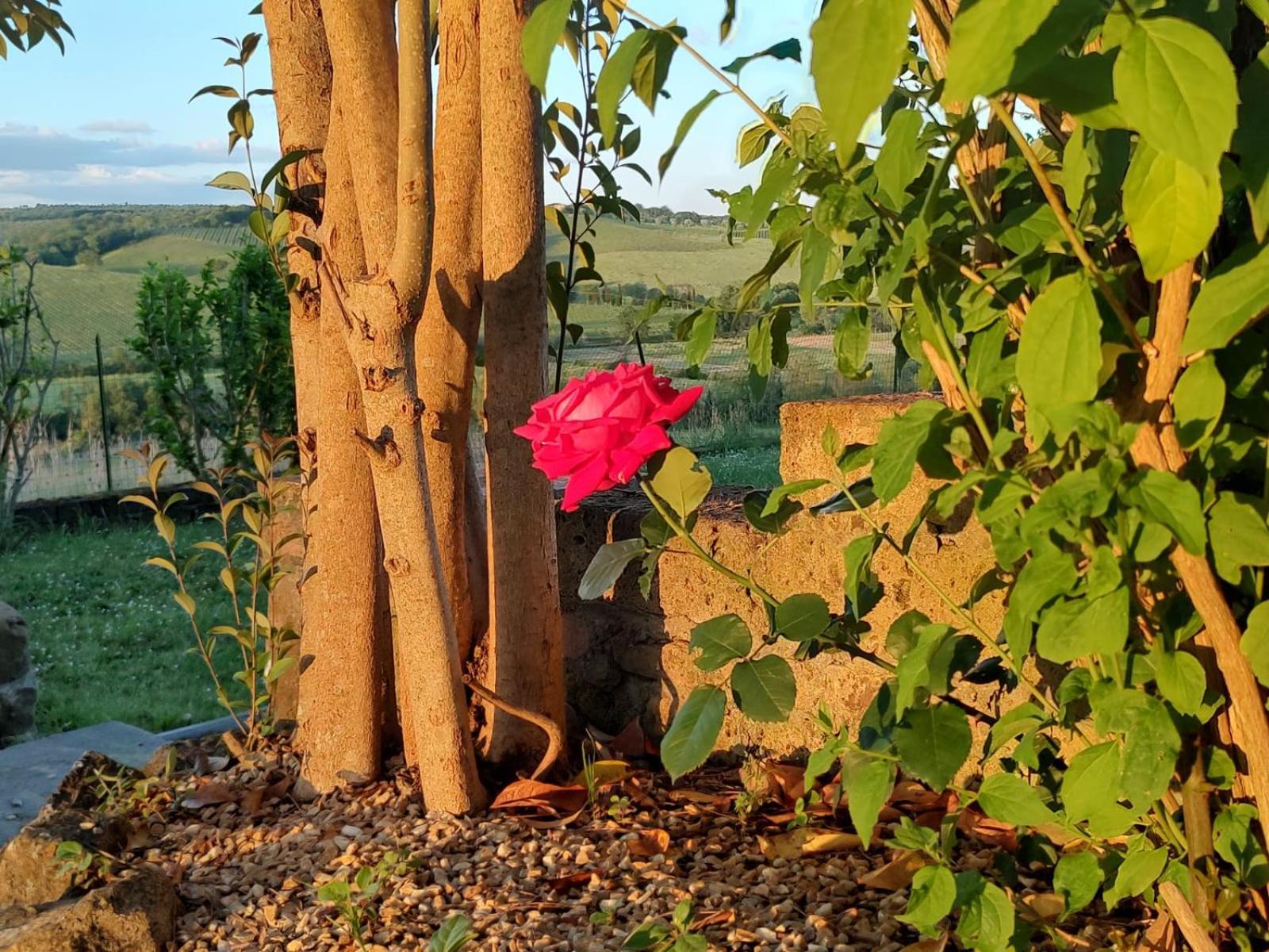 Apartament Il Giardino Del Chianti Siena Zewnętrze zdjęcie